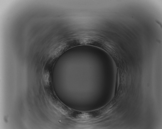 X0000099550219200805231159