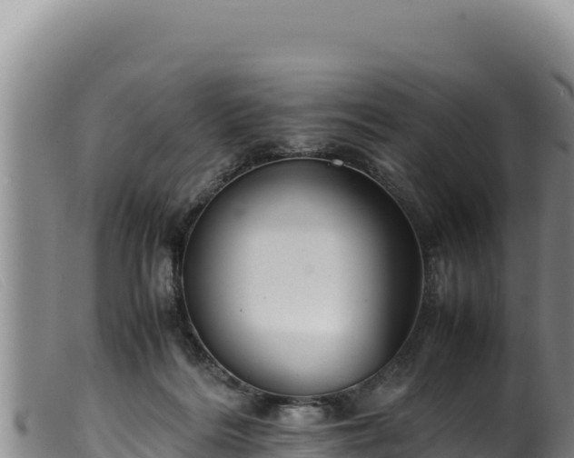 X0000099550220200805231159