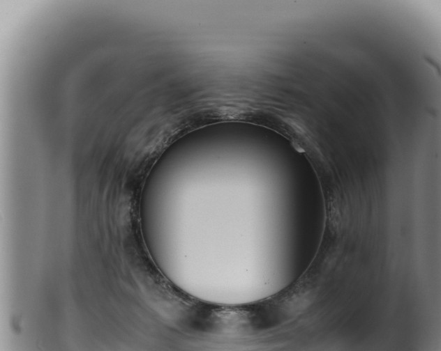 X0000099550221200805231159