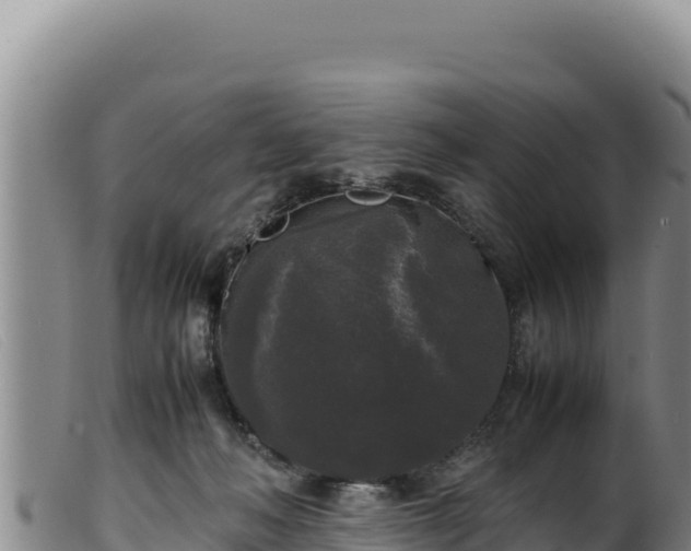 X0000099550222200805231159