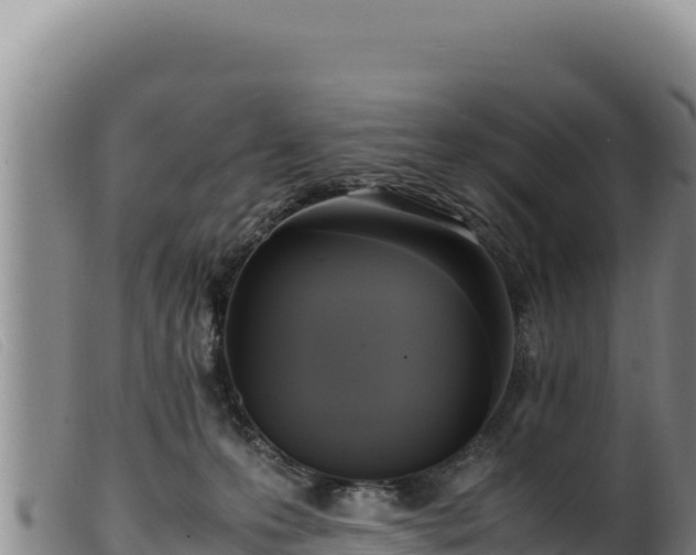 X0000099550223200805231159