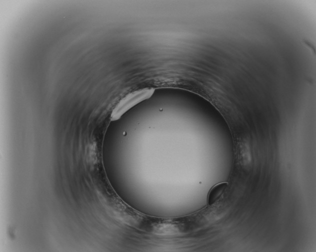 X0000099550224200805231159