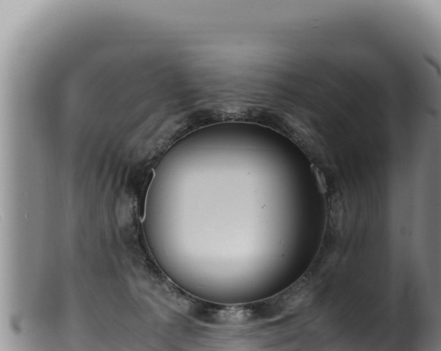 X0000099550225200805231159