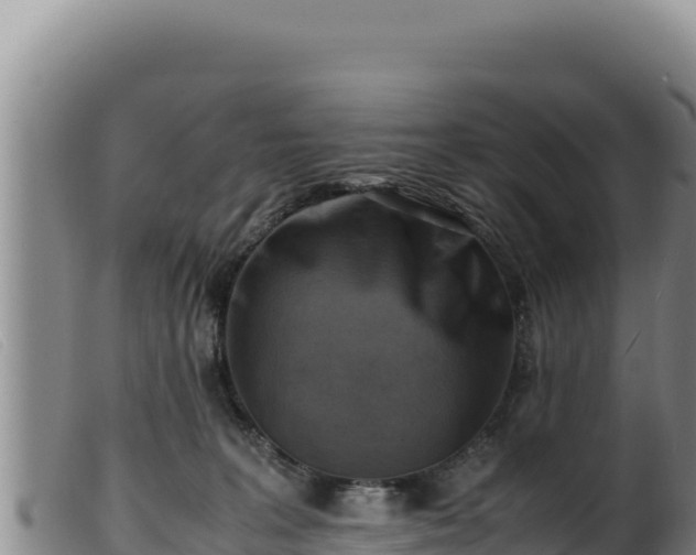 X0000099550227200805231159