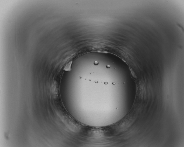 X0000099550228200805231159