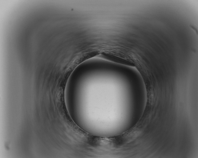 X0000099550229200805231159