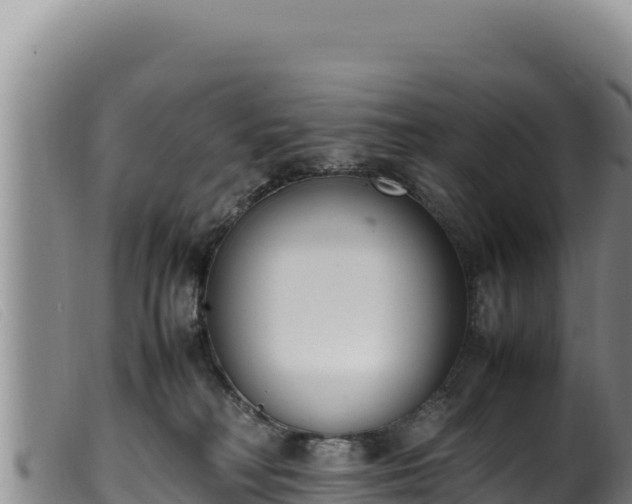 X0000099550230200805231159