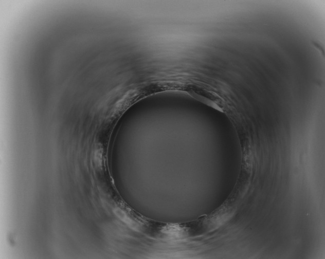 X0000099550231200805231159