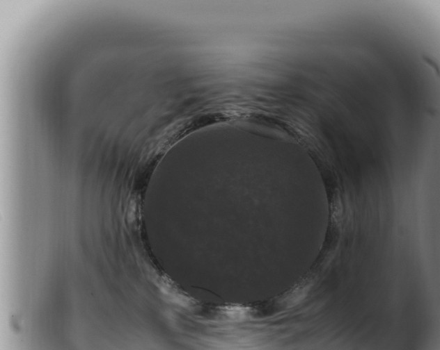 X0000099550233200805231159