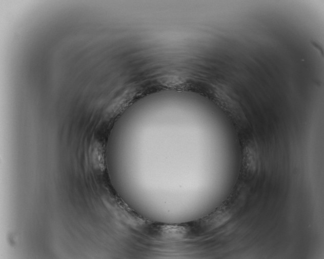 X0000099550234200805231159