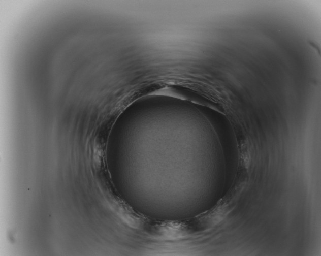 X0000099550235200805231159