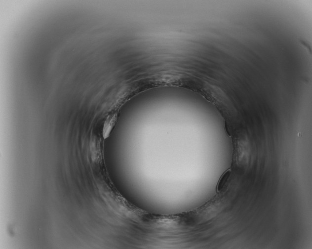 X0000099550236200805231159