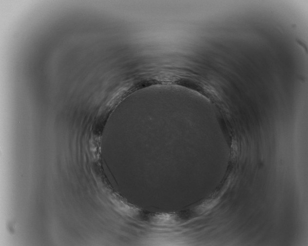 X0000099550237200805231159