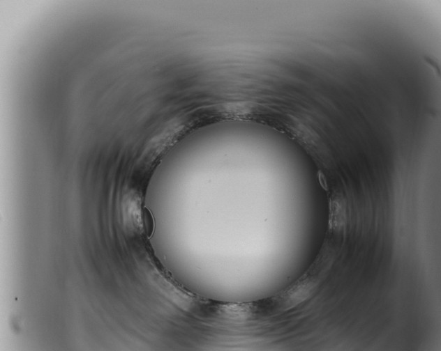 X0000099550238200805231159