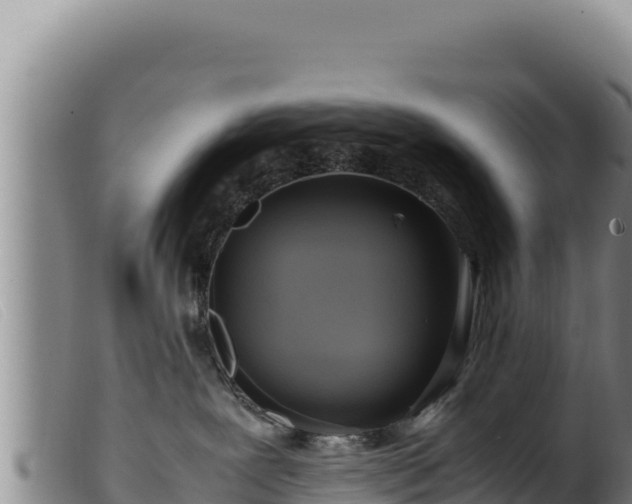 X0000099550239200805231159