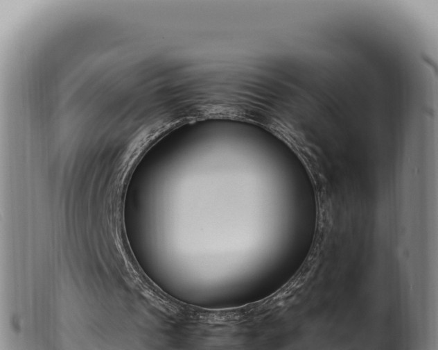 X0000099550241200805231158