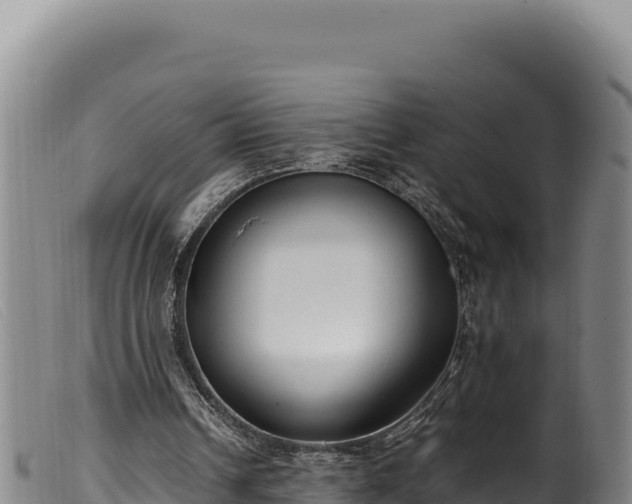 X0000099550242200805231158