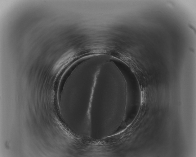 X0000099550243200805231158