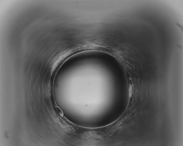 X0000099550244200805231158