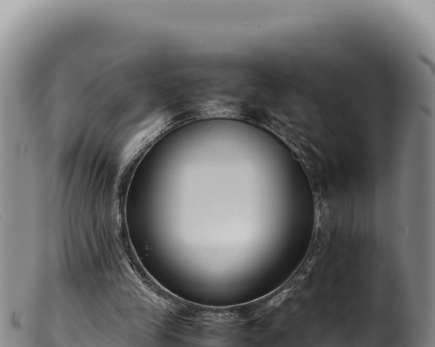 X0000099550245200805231158