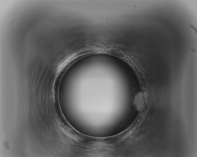 X0000099550246200805231158