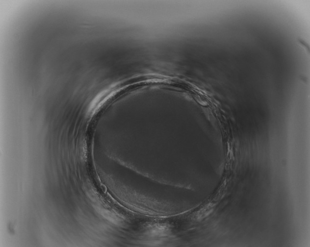 X0000099550247200805231158