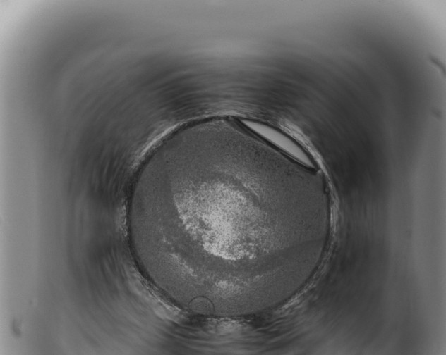 X0000099550249200805231158