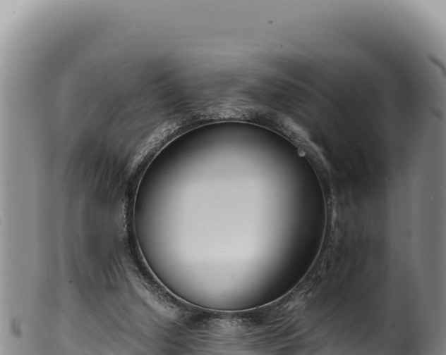 X0000099550250200805231158