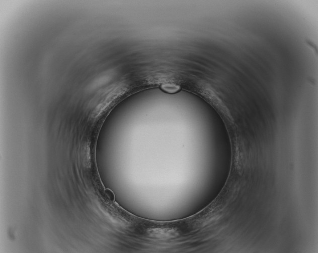 X0000099550251200805231158