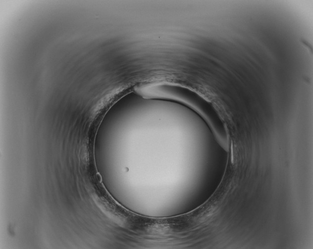 X0000099550252200805231158