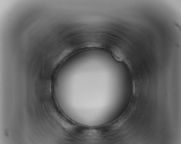 X0000099550253200805231158