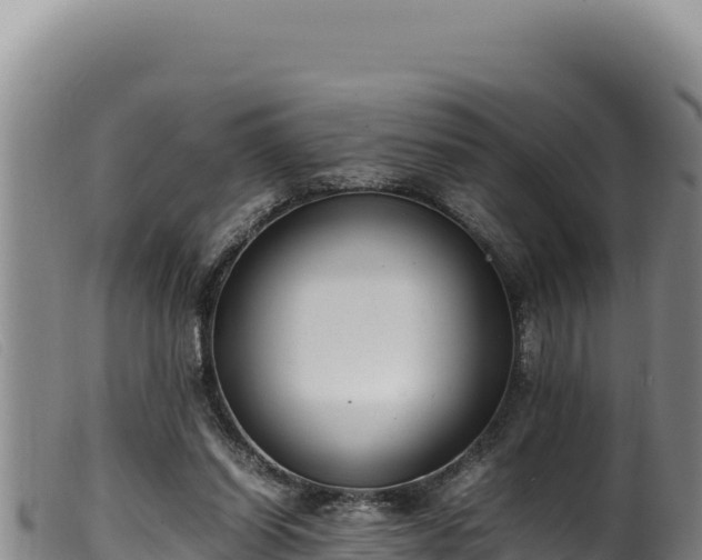 X0000099550254200805231158