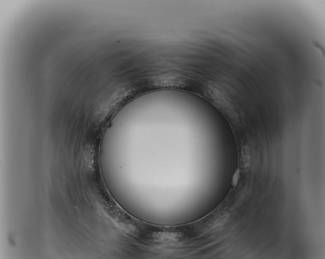 X0000099550255200805231158