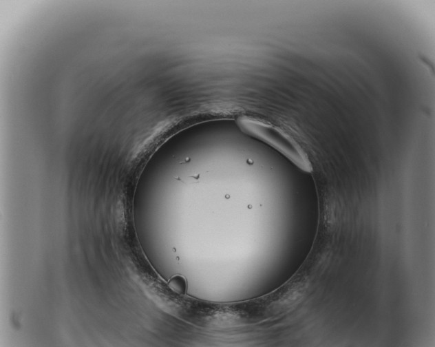 X0000099550256200805231158