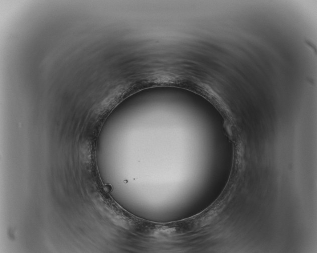 X0000099550257200805231158