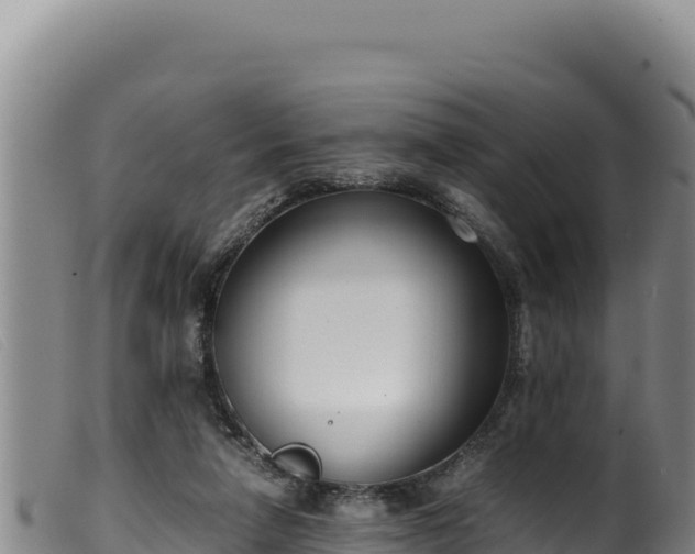 X0000099550258200805231158