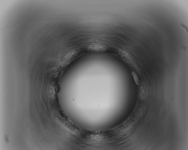 X0000099550259200805231158