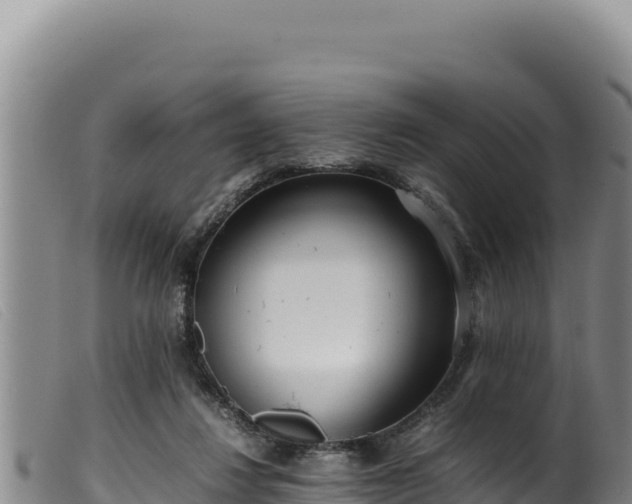 X0000099550260200805231158