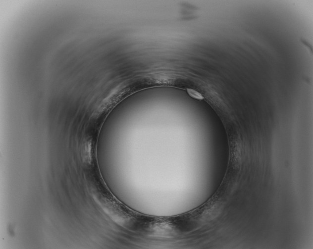 X0000099550262200805231158