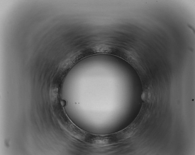 X0000099550263200805231158