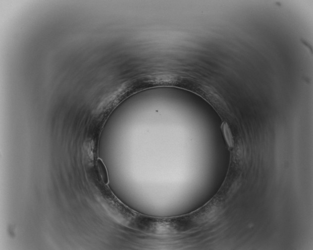 X0000099550264200805231158