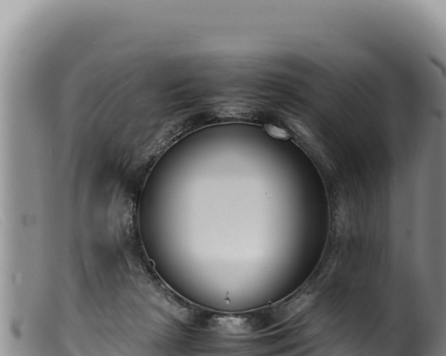 X0000099550265200805231158