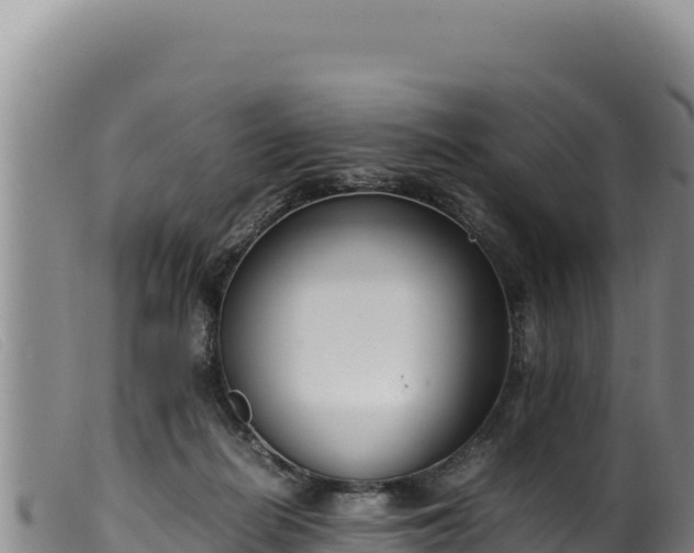 X0000099550266200805231158