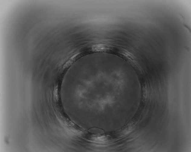 X0000099550267200805231158