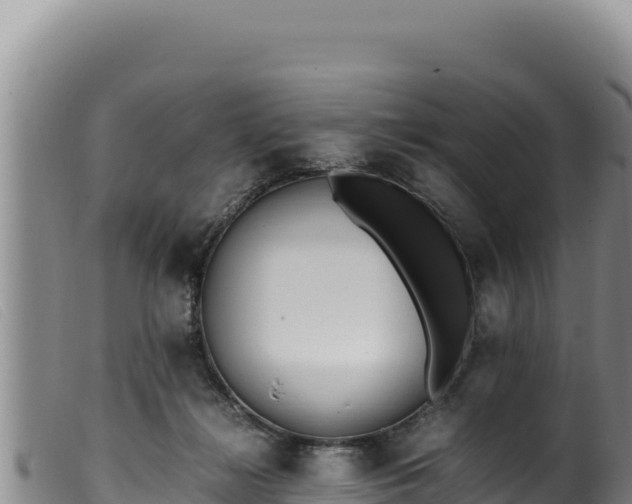 X0000099550268200805231158