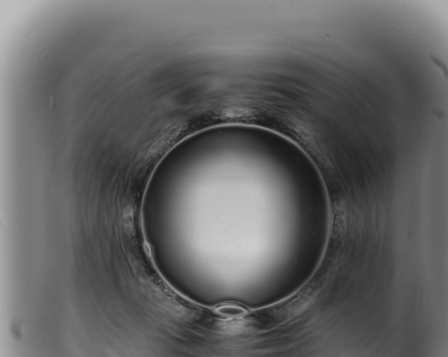 X0000099550269200805231158