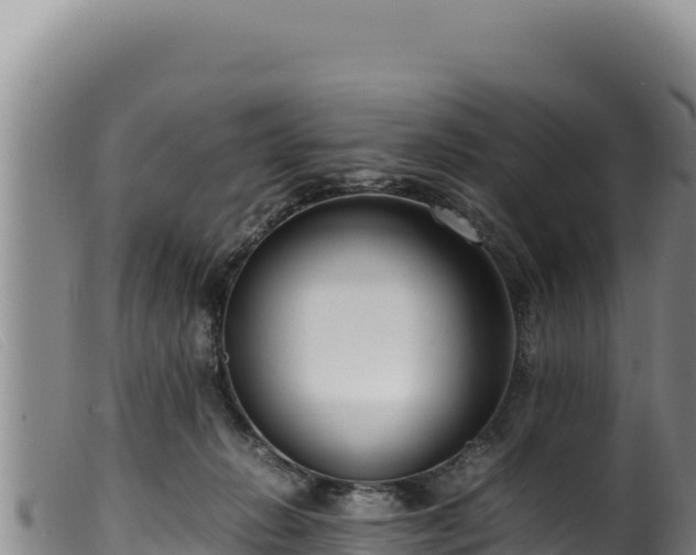 X0000099550270200805231158