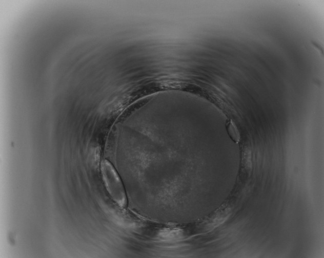 X0000099550271200805231158