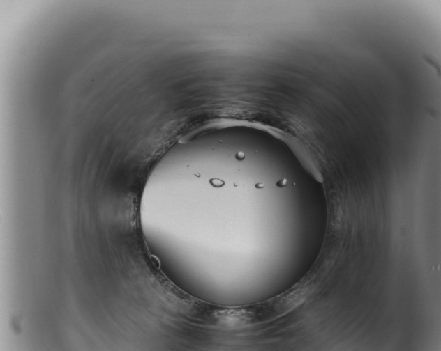 X0000099550273200805231158