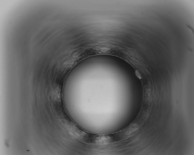 X0000099550274200805231158